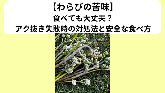 わらびの苦味は食べて大丈夫?アク抜き失敗時の対処法と安全な食べ方も解説