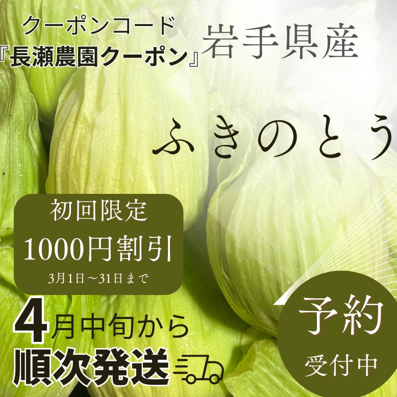 山菜の日キャンペーン　予約開始　岩手県産ふきのとうネット販売初回限定割引クーポン発行！！